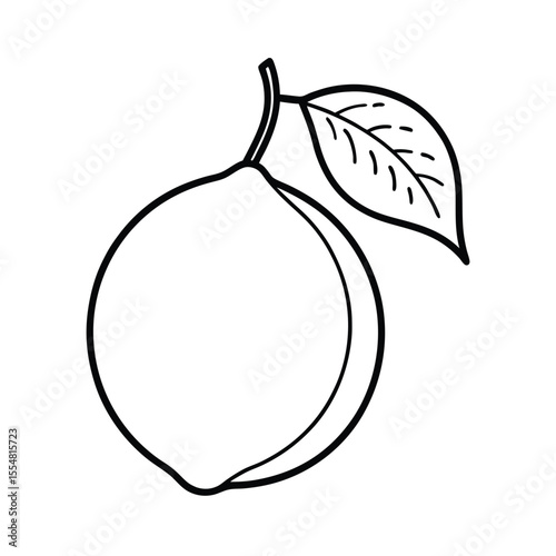 vector illustration of a lemon 