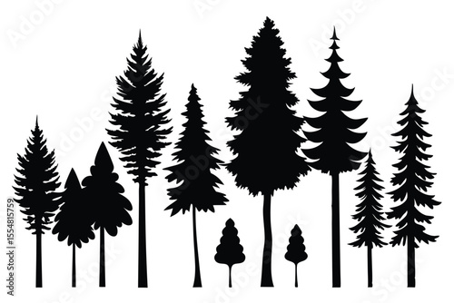 Silhouettes of evergreen trees in a forest setting