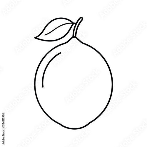 lemon fruit vector illustration