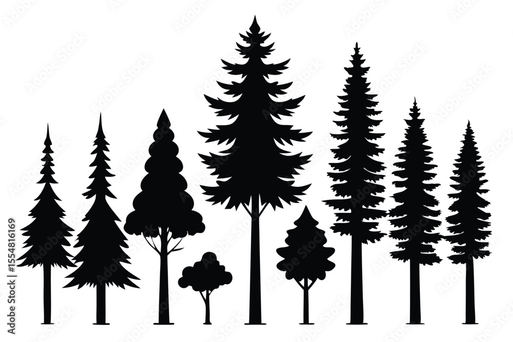 Obraz premium Silhouettes of evergreen trees in a forest&nbsp;setting