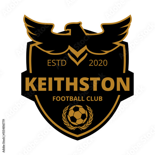 morden football club logo