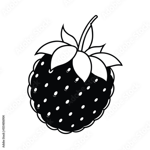 midgen berry fruit vector illustration
