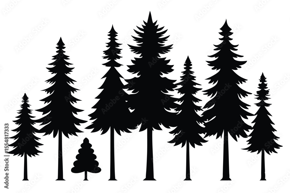 Fototapeta premium Silhouettes of evergreen trees in a forest setting