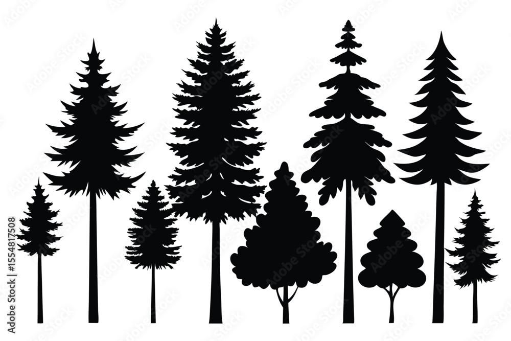 Obraz premium Silhouettes of evergreen trees in a forest&nbsp;setting