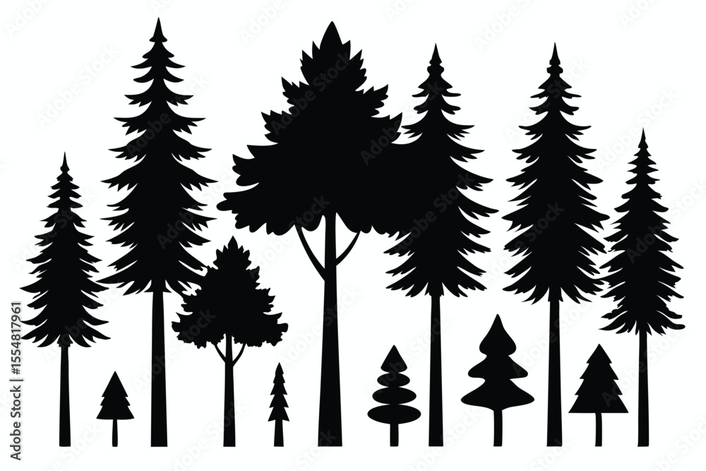 Fototapeta premium Silhouettes of evergreen trees in a forest setting