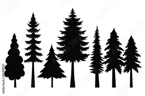 Silhouettes of evergreen trees in a forest setting