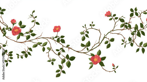 Wild rose vines climbing in curved spirals minimal on white