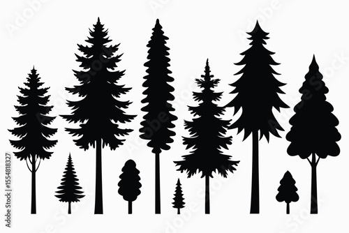 Silhouettes of evergreen trees in a forest setting