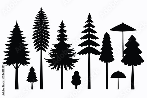 Silhouettes of evergreen trees in a forest setting
