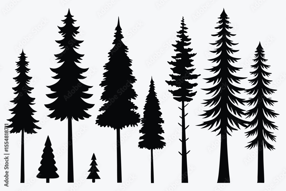 Obraz premium Silhouettes of evergreen trees in a forest&nbsp;setting
