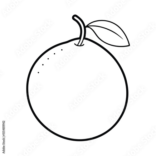 pomelo fruit vector illustration