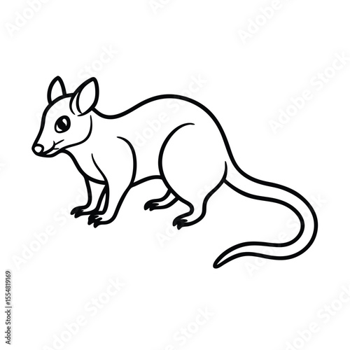 possum animal vector illustration