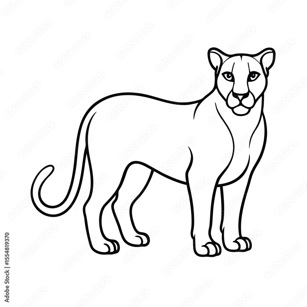 Obraz premium puma animal vector illustration