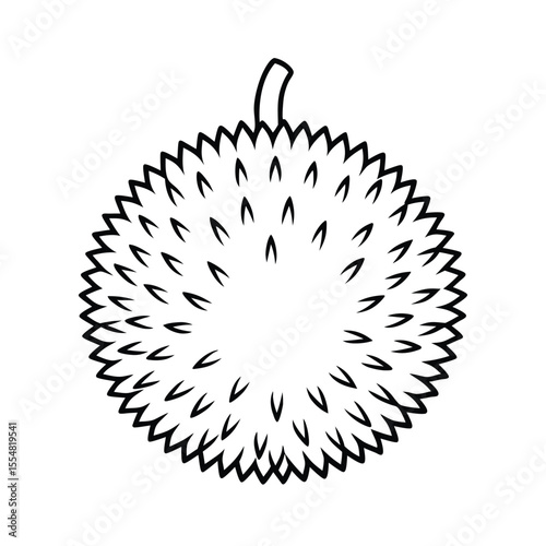 rambutan fruit vector illustration