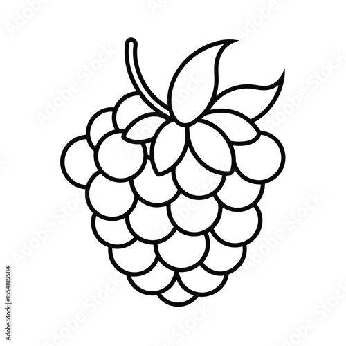 raspberry fruit vector illustration