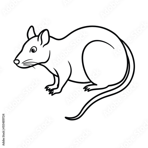 vector illustration of a rat