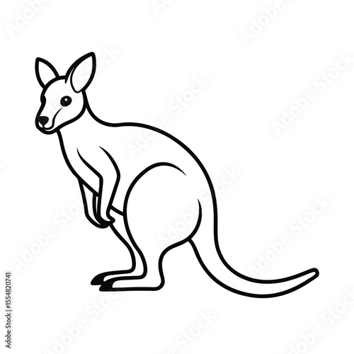 wallaby animal vector illustration