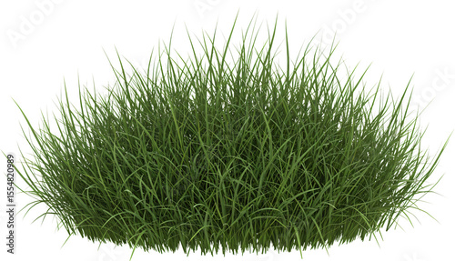 Wallpaper Mural patch of grass with transparent background frame border	 Torontodigital.ca