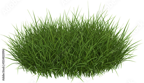 Wallpaper Mural patch of grass with transparent background frame border	 Torontodigital.ca