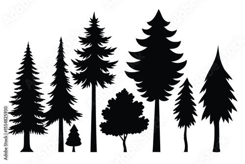 Silhouettes of evergreen trees in a forest setting