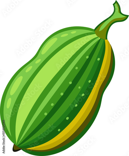 vector illustration of a Bitter gourd 