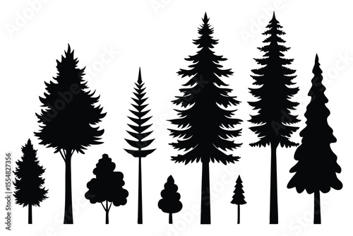 Silhouettes of evergreen trees in a forest setting
