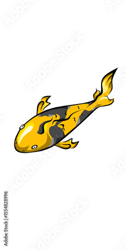 koi fish carp vector 