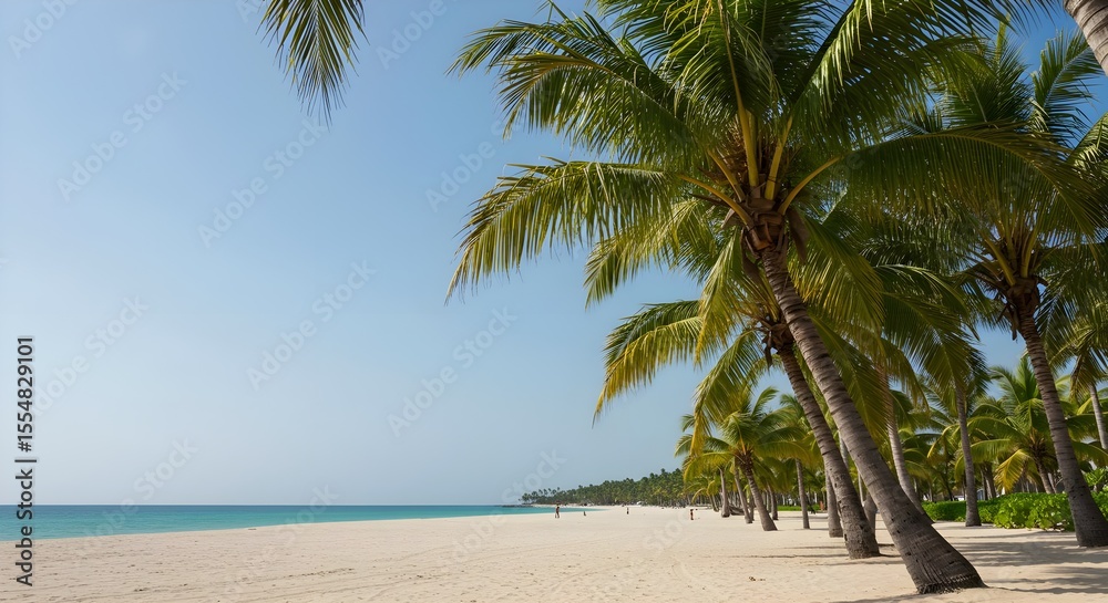 Obraz premium Tropical beach, Palm trees, Coconut palm, Idyllic Tropical Beach with Palm Trees