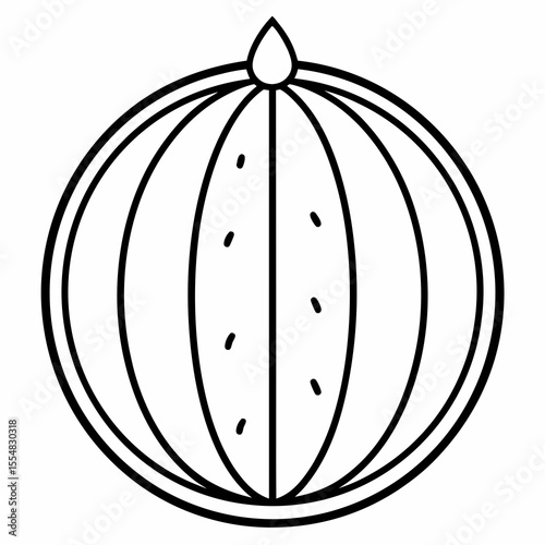 vector illustration of a ripe melon