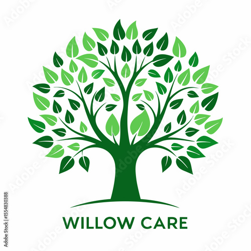 Willow care logo isolated on white background