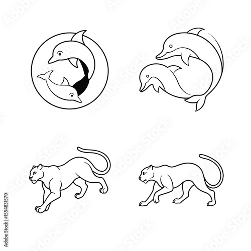 Dolphins and