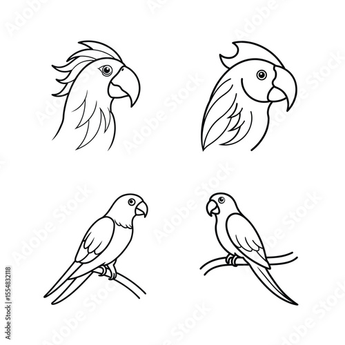 Parrot heads