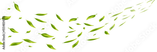 Green leaves flying on a long white banner. Falling leaves. Wavy foliage ornament. Vegan, eco, organic design element. Cosmetic pattern border. Fresh tea background. Beauty products. Vector