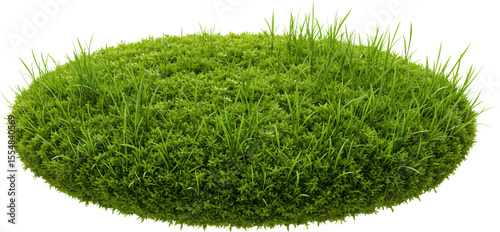 Wallpaper Mural patch of grass with transparent background frame border	 Torontodigital.ca
