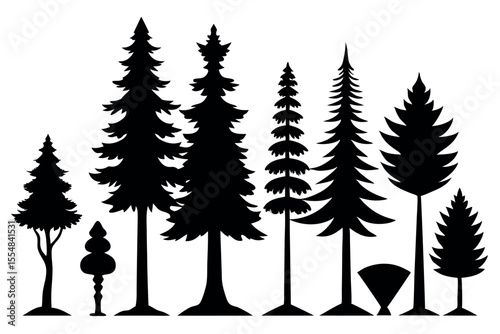 High-Quality Evergreen Tree Silhouettes – Pine & Spruce on White