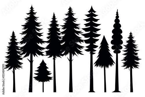 High-Quality Evergreen Tree Silhouettes – Pine & Spruce on White
