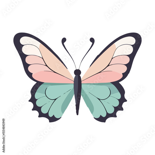 butterfly vector illustration