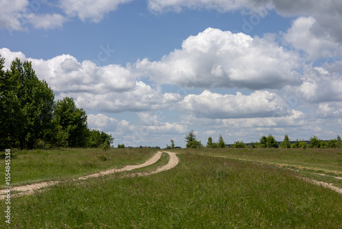 Fototapeta Naklejka Na Ścianę i Meble -  Dirt path  in the summer field