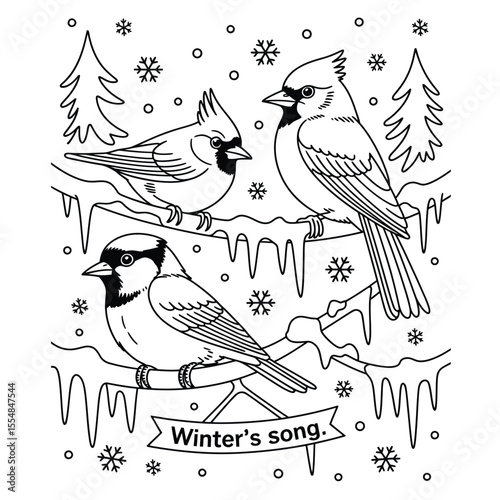 Black and white winter birds line art illustration with cardinal, blue jay, and chickadee perched on snow-covered branch for coloring