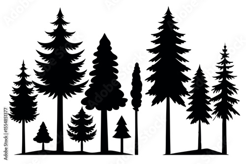 Black Pine and Spruce Tree Vector Silhouettes – White Background Edition