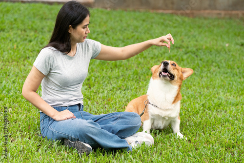 Dog Training and Bonding. Young woman teaching her corgi to sit with treats in a grassy park.