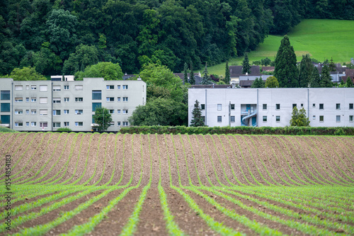 Agricultural Field and Residential Area in Itingen, Switzerland