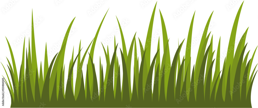 Fototapeta premium Green Grass Vector Illustration - Nature Landscape Element for Background and Desgin