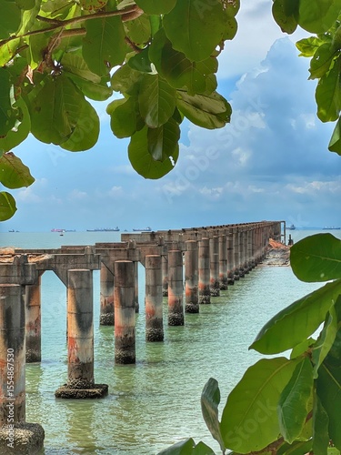bridge over the river