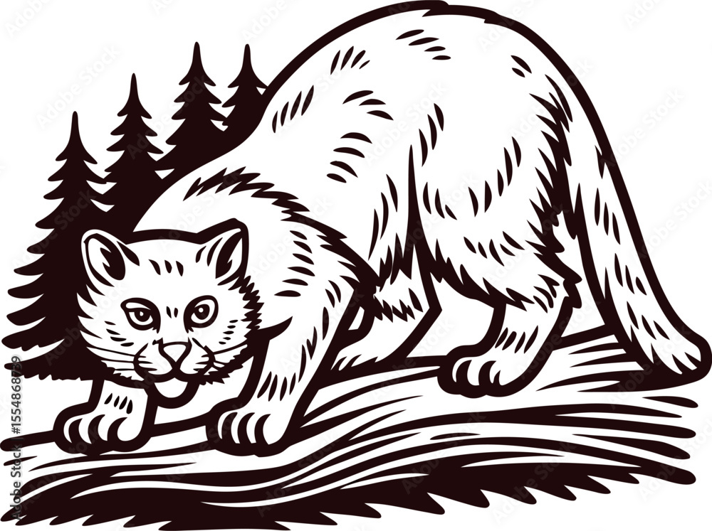 Obraz premium Wild forest cat illustration prowling near pine trees in vintage hand drawn engraved black and white