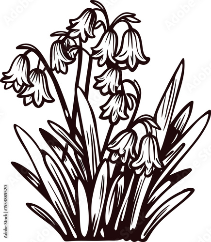 Vintage hand drawn bluebells cluster with detailed leaves and flowers isolated on white background