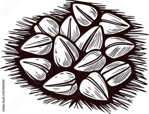 Hand drawn sunflower seeds pile isolated on white vintage sketch botanical food illustration