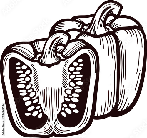 Vintage hand drawn illustration of whole and half bell pepper isolated on white background, engraved vegetable sketch