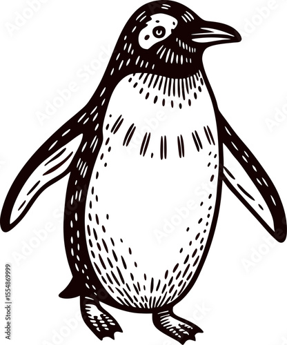 Hand drawn penguin illustration isolated on white background, vintage engraved animal sketch
