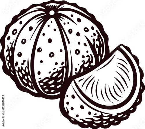 Hand drawn citrus fruit with separated segment engraved vintage illustration of whole and sliced orange